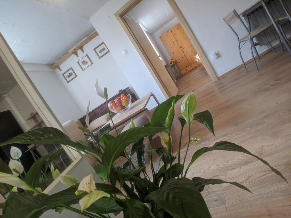 Twin-Magnolias Condo With Garden, Parking & Ev Station Zagreb Exterior foto